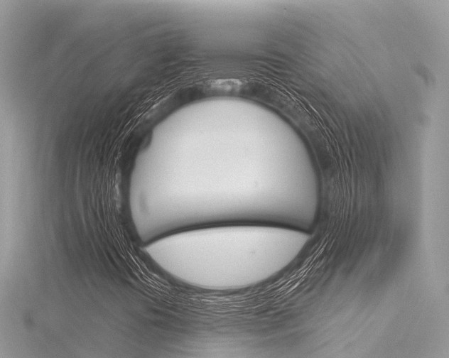 X0000116301394200911301004