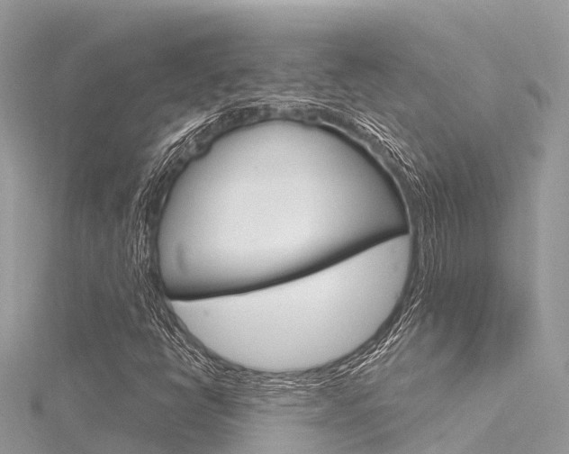 X0000116301398200911301004
