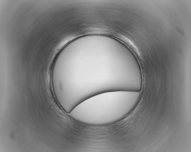 X0000116301419200911301004
