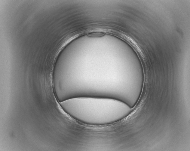 X0000116301433200911301004