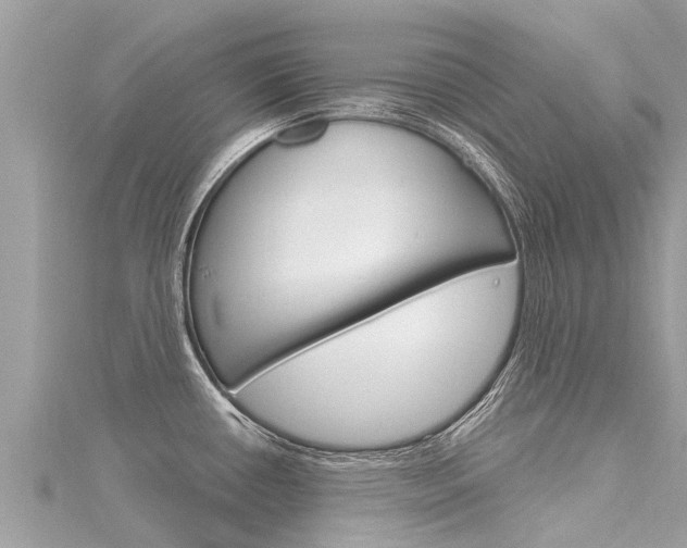 X0000116301434200911301004