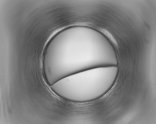 X0000116301436200911301004
