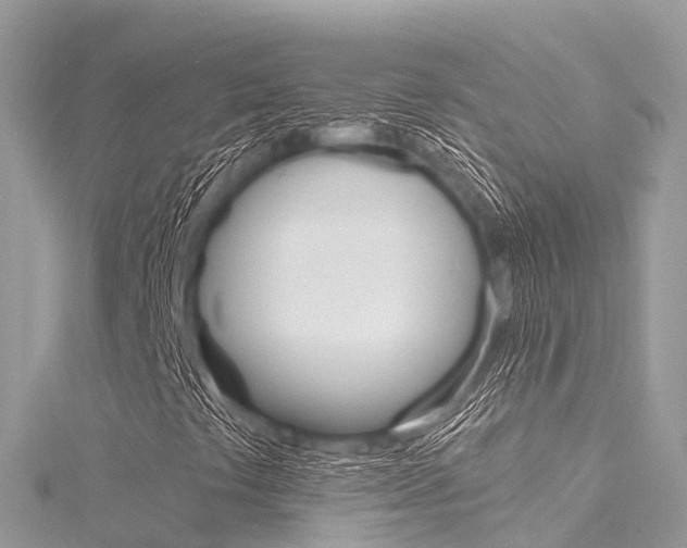 X0000116301441200911301004