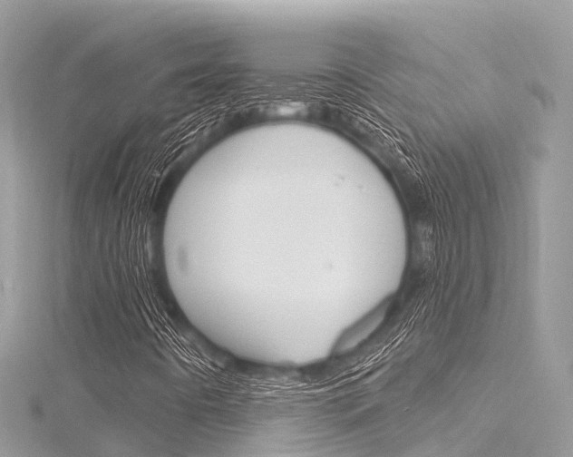 X0000116301442200911301004
