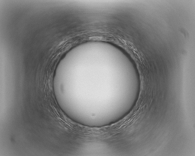 X0000116301445200911301004