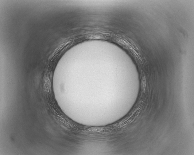 X0000116301446200911301004