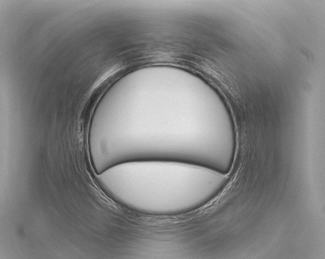 X0000116301450200911301004