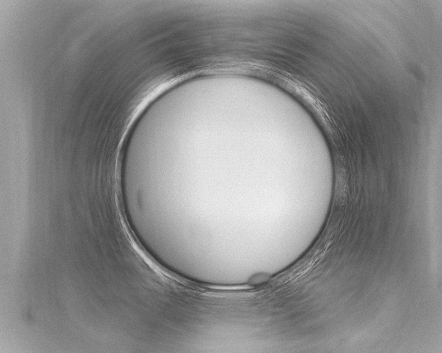 X0000116301487200911301003