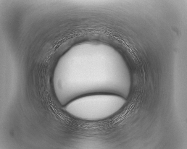 X0000116301489200911301002