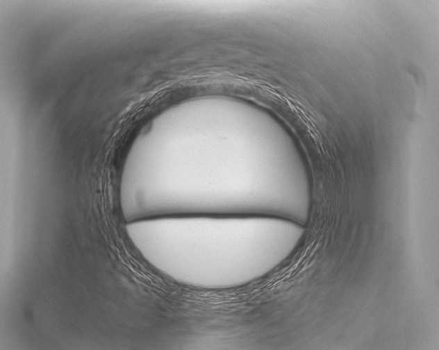 X0000116301493200911301003