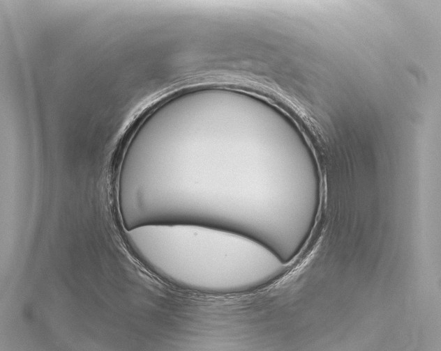 X0000116301501200911301003