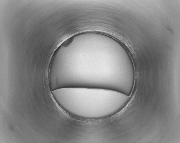 X0000116301521200911301003
