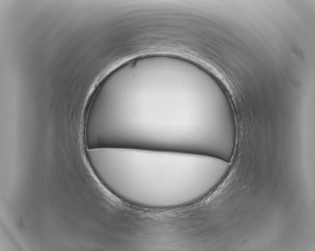 X0000116301525200911301003