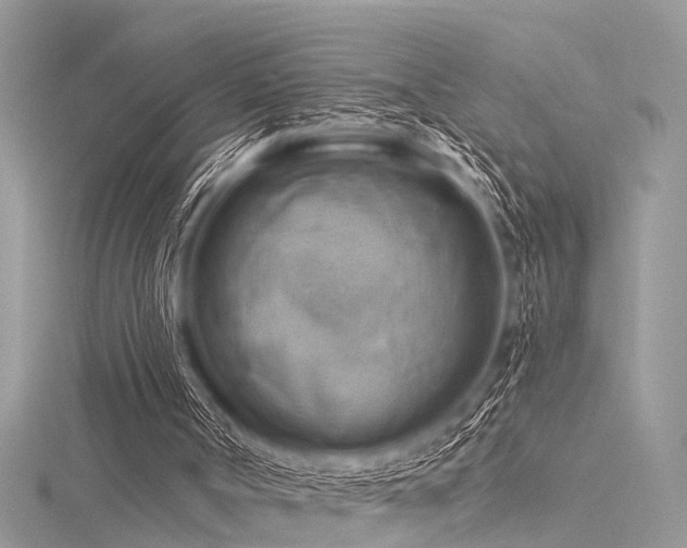 X0000116300002200911301451