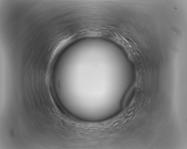 X0000116300003200911301451