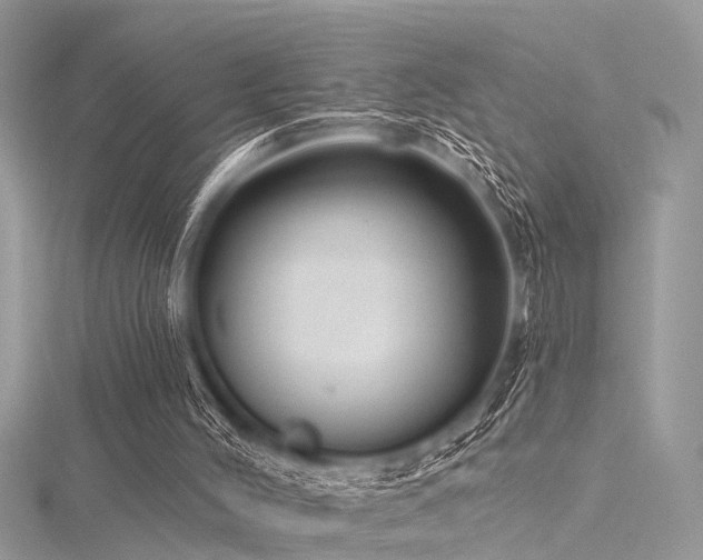 X0000116300004200911301451