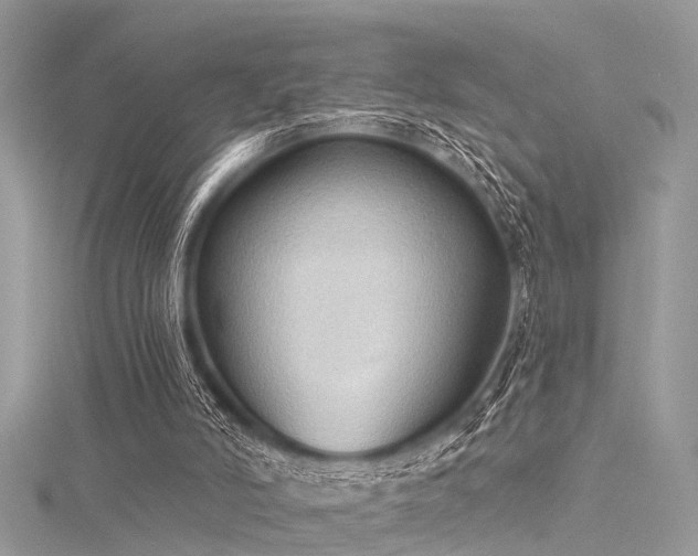 X0000116300006200911301451