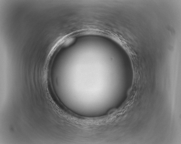 X0000116300007200911301451