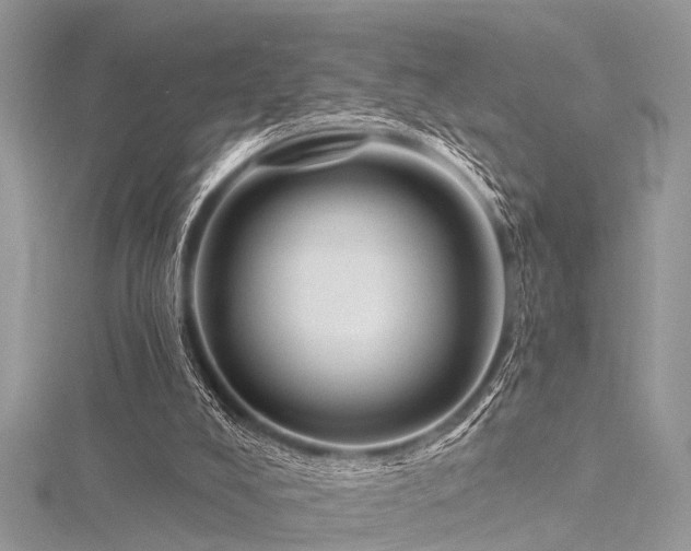 X0000116300008200911301451