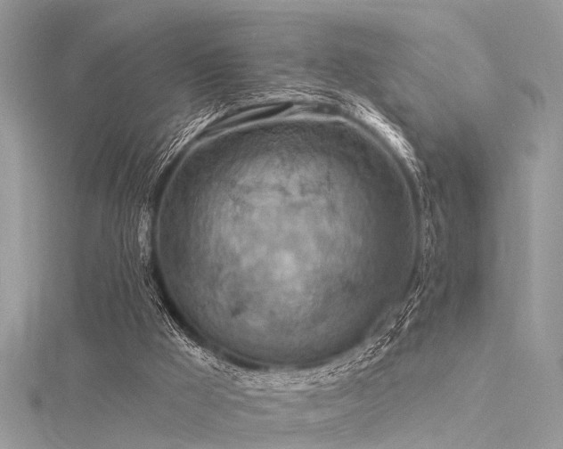 X0000116300009200911301451