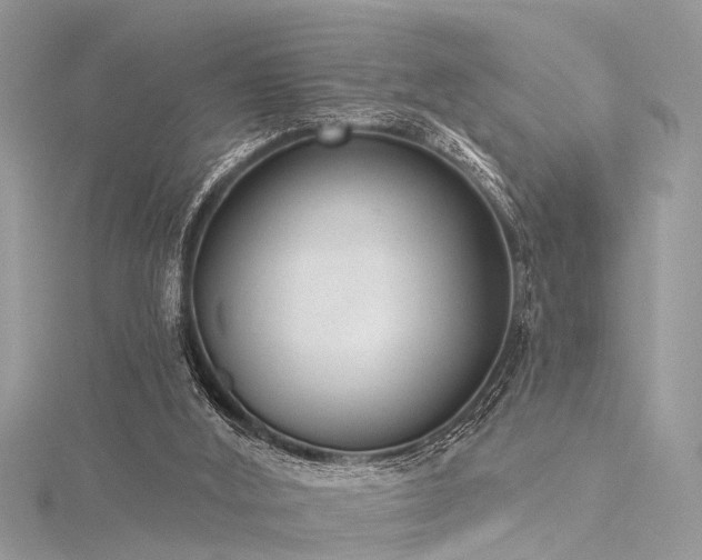 X0000116300012200911301451