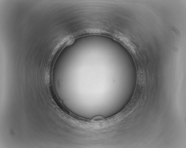 X0000116300015200911301451