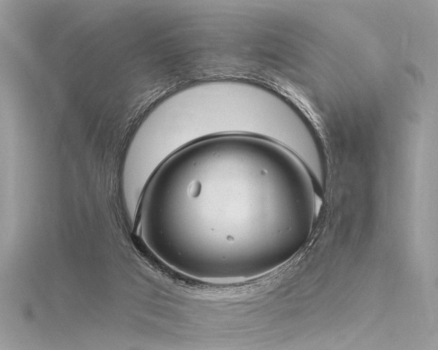 X0000116300017200911301451