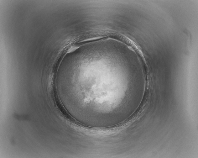 X0000116300018200911301451