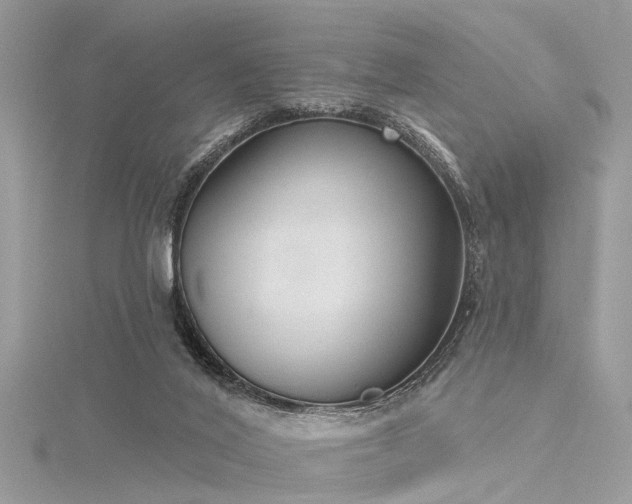 X0000116300020200911301451