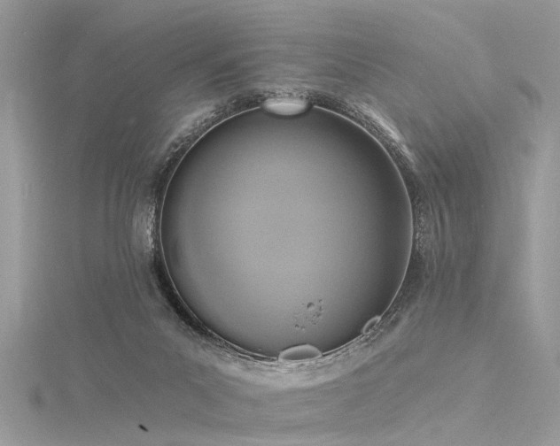 X0000116300023200911301451