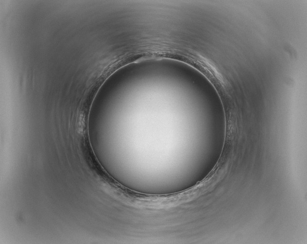 X0000116300025200911301451