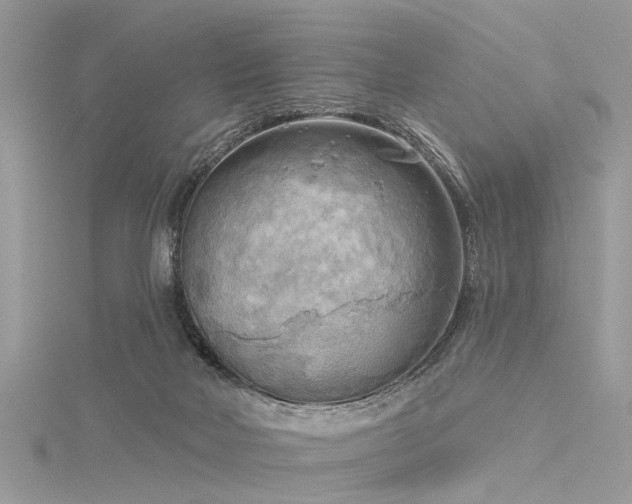 X0000116300026200911301451