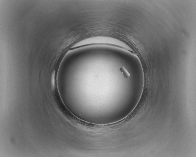 X0000116300028200911301451