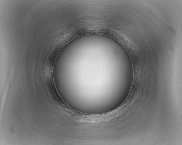 X0000116300033200911301451