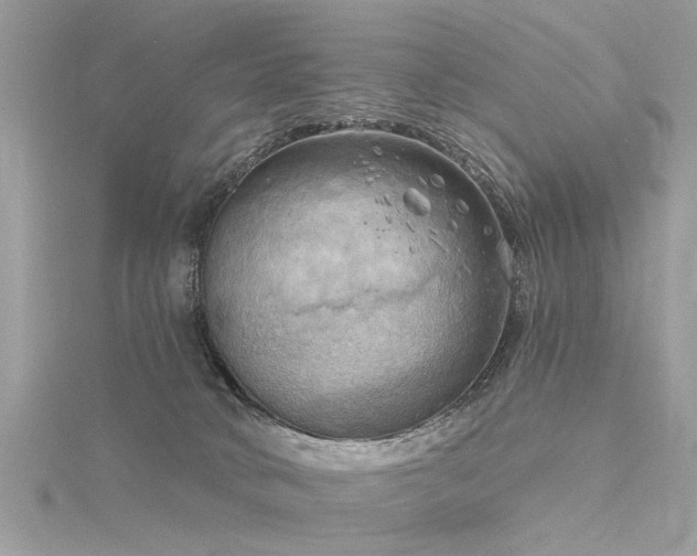 X0000116300034200911301451