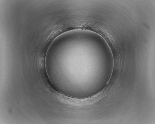 X0000116300035200911301451