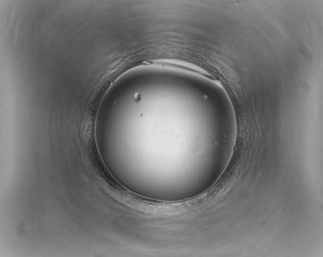 X0000116300036200911301451