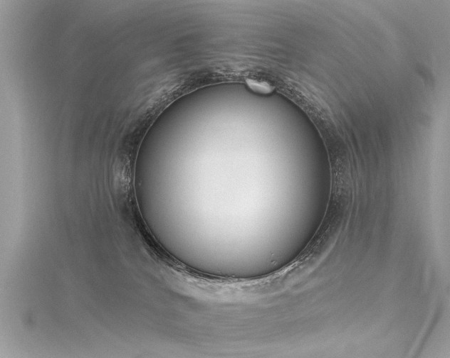 X0000116300040200911301451