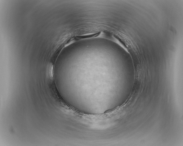 X0000116300041200911301451