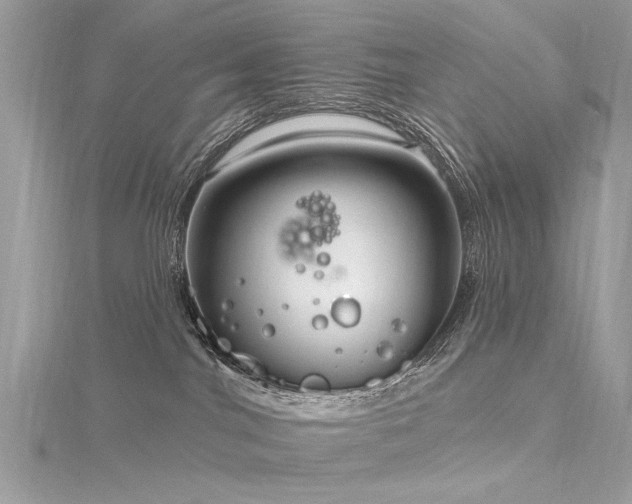 X0000116300044200911301451