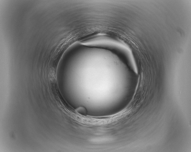 X0000116300048200911301451