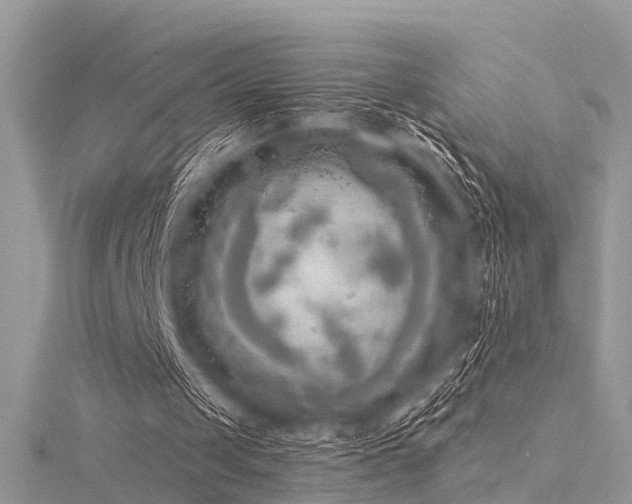 X0000116300049200911301450