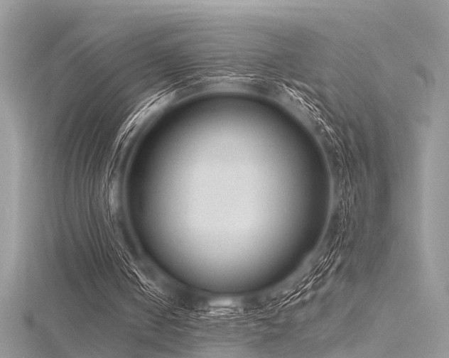 X0000116300050200911301450