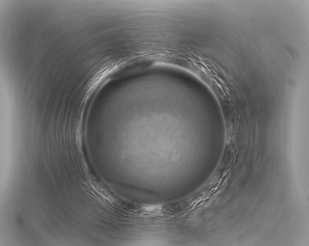 X0000116300052200911301450