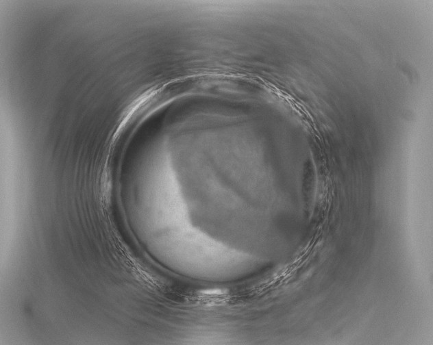 X0000116300053200911301450