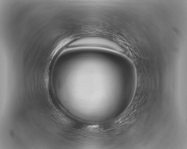 X0000116300054200911301450