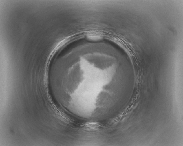 X0000116300055200911301450