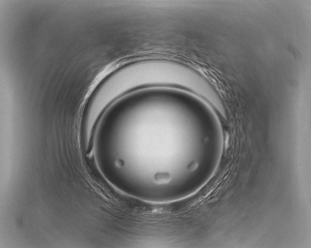 X0000116300056200911301450