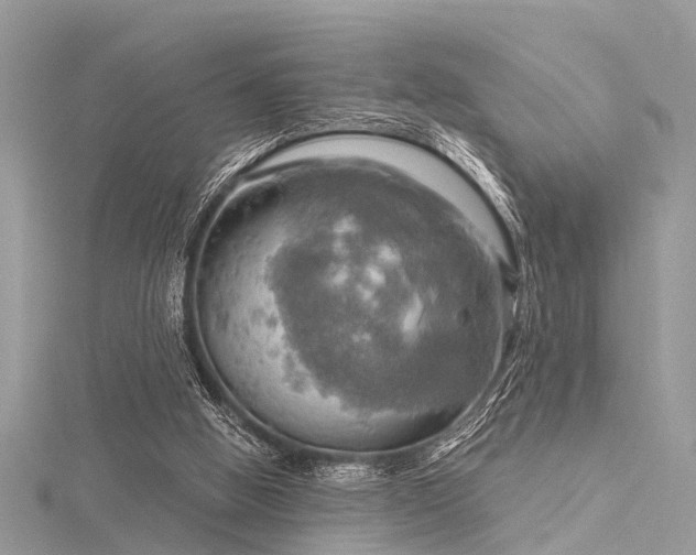 X0000116300058200911301450