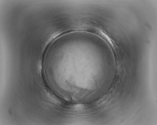 X0000116300059200911301450